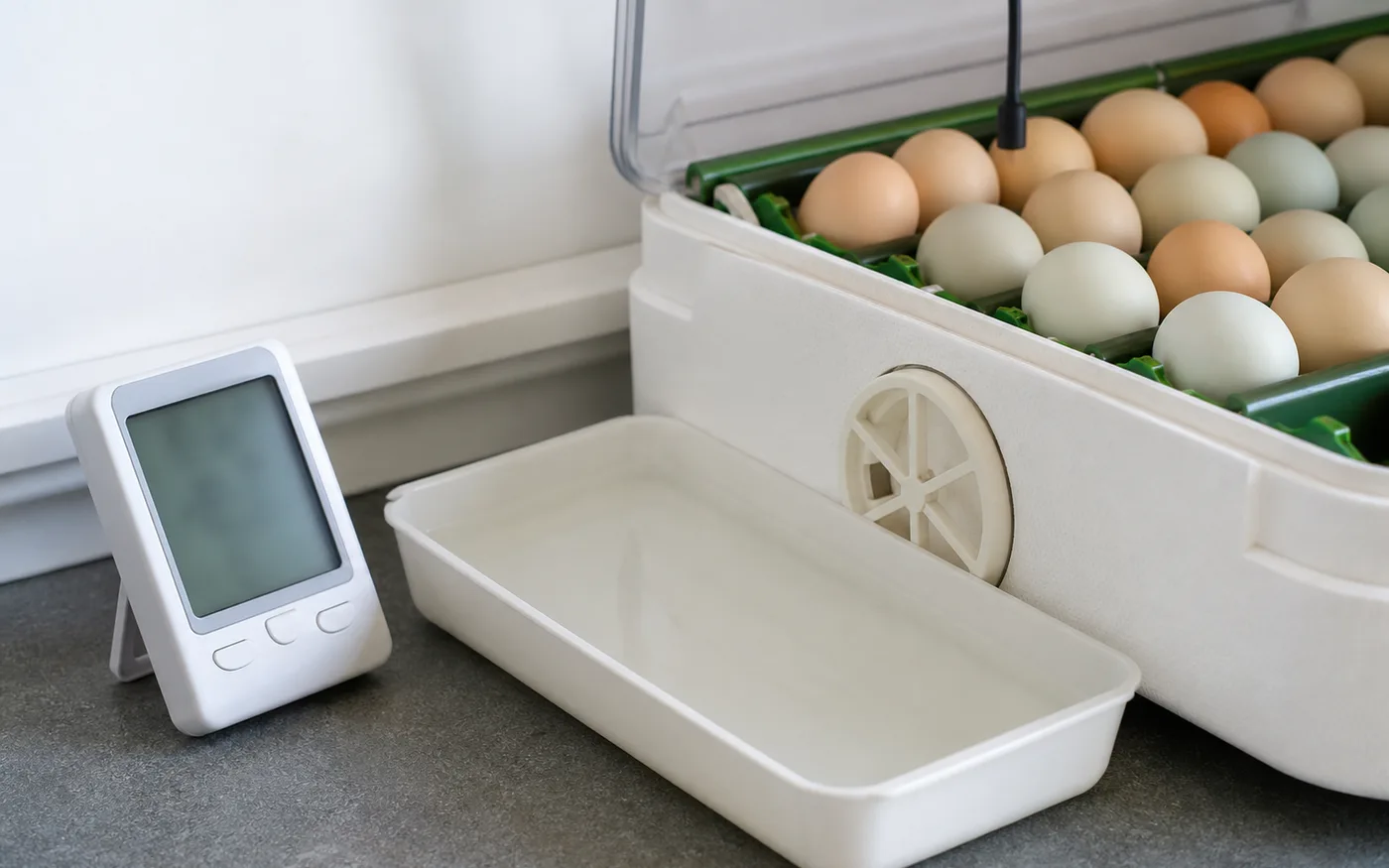 An incubator humidity setup with water channel and eggs